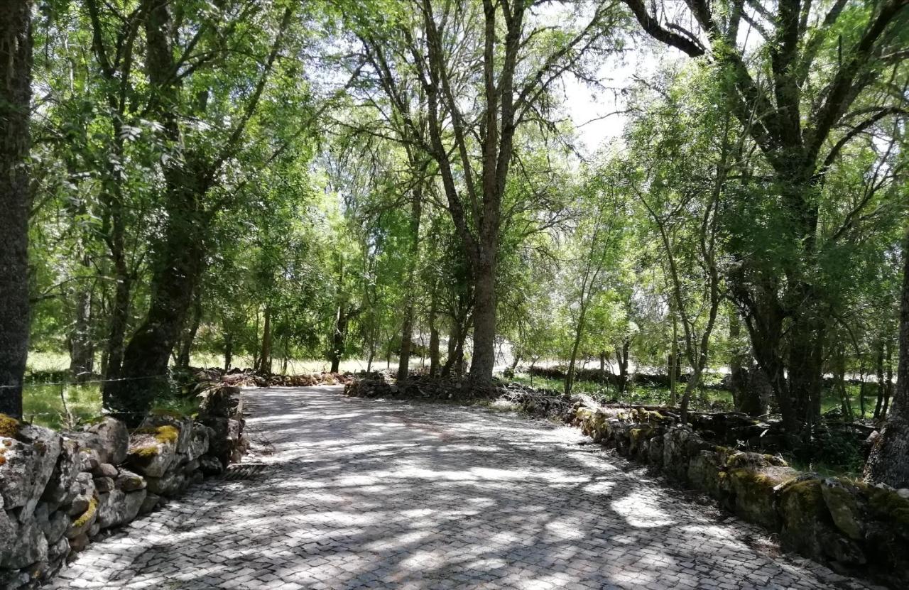 Carya Tallaya - Casas De Campo Vale das Éguas Kültér fotó