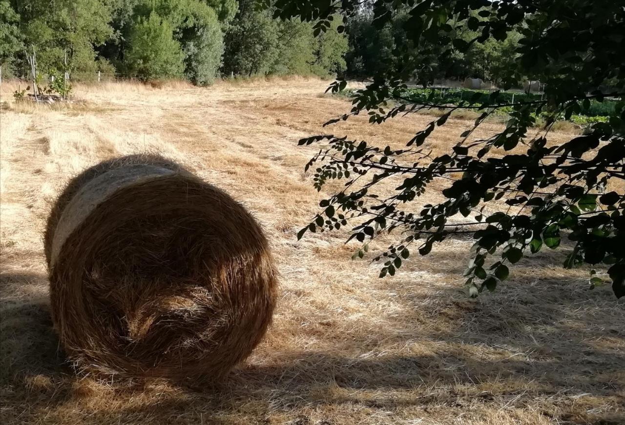 Carya Tallaya - Casas De Campo Vale das Éguas Kültér fotó