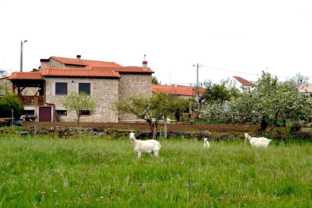 Carya Tallaya - Casas De Campo Vale das Éguas Kültér fotó